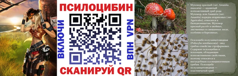 купить наркотик  Юхнов  Псилоцибиновые грибы MAGIC MUSHROOMS 